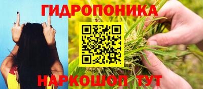 наркотики Будённовск