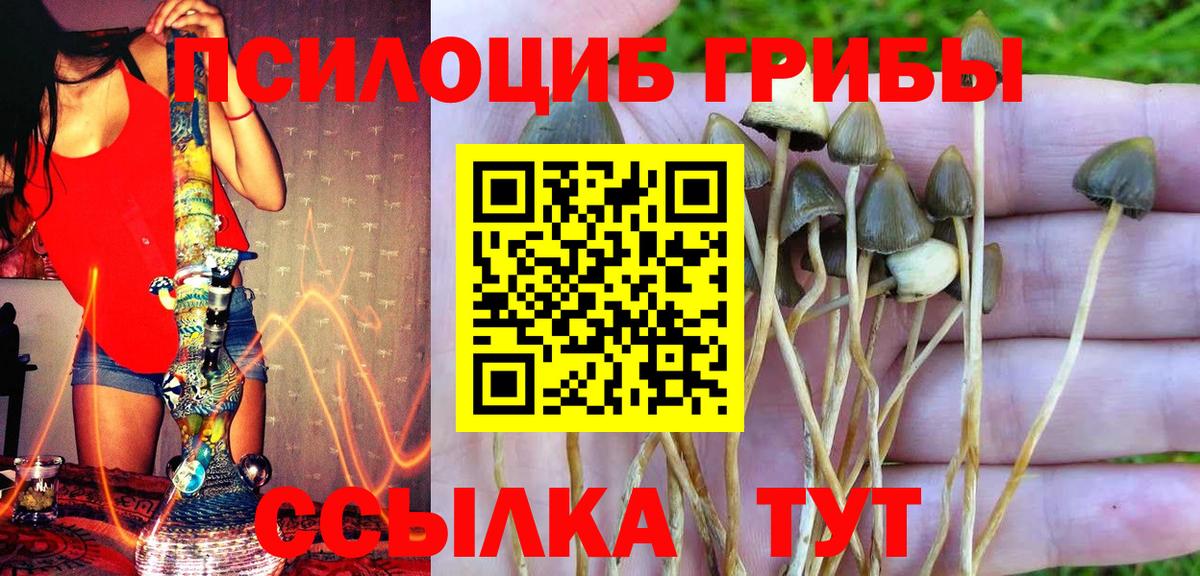 Галлюциногенные грибы прущие грибы Дюртюли