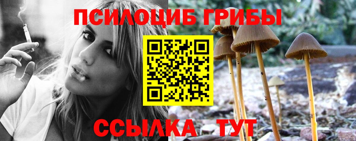 Псилоцибиновые грибы мухоморы  Галлюциногенные грибы прущие грибы  Вход с VPN  Дюртюли 
